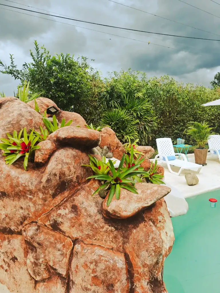 Piscina tropical con rocas y plantas en finca hotel en Alcalá Valle, ideal para alojamiento y relajación.