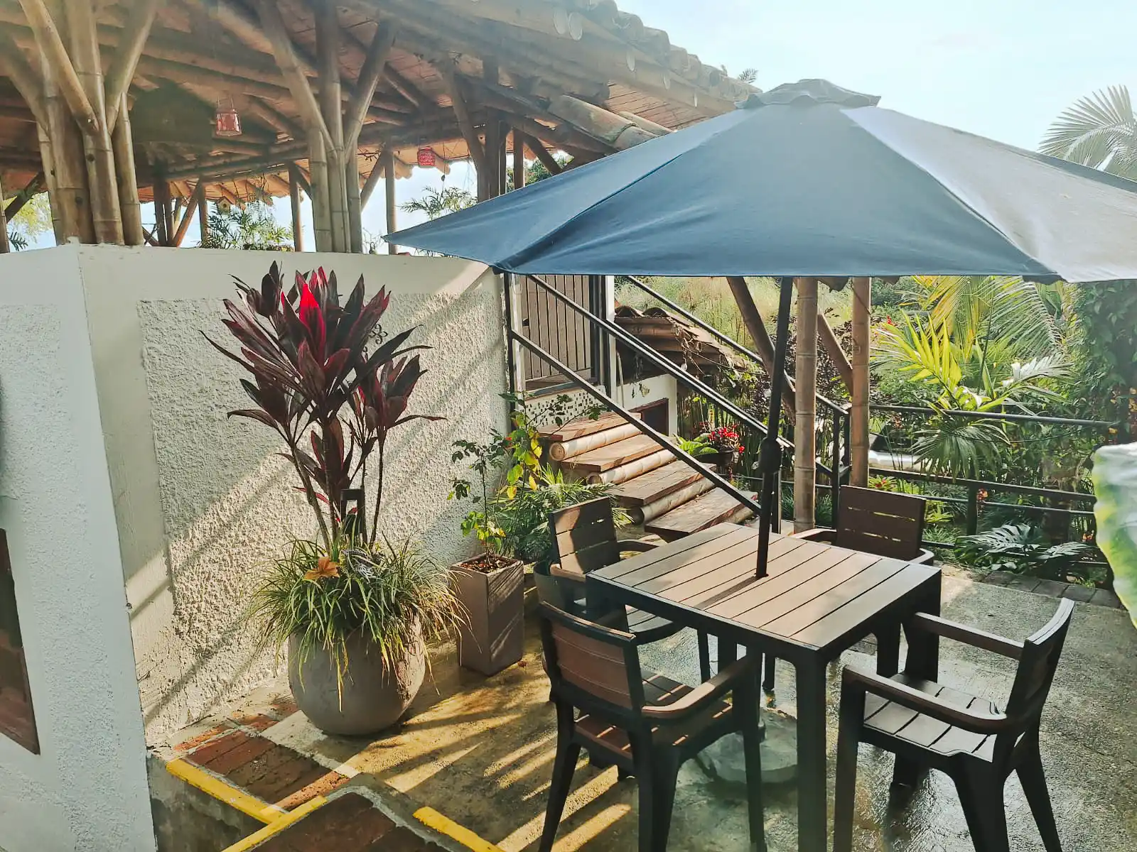 Zona común al aire libre de alojamiento en Alcalá Valle, rodeada de plantas tropicales y arquitectura de bambú.