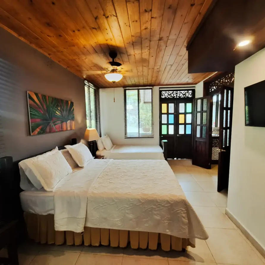 Junior Suite Luminosa en Alcalá #5 | Finca Hotel Santa María