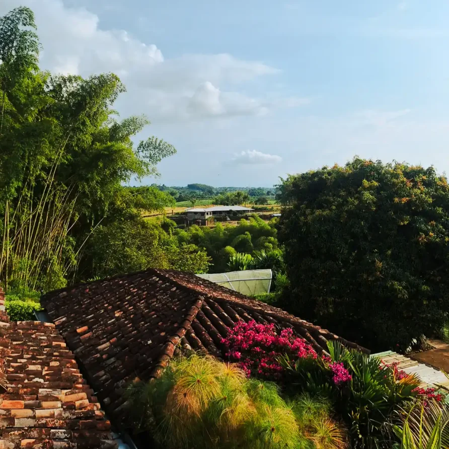 Panorámica de tejados de finca hotel en Alcalá, rodeados de bambú, flores rosadas y paisajes verdes del Valle.