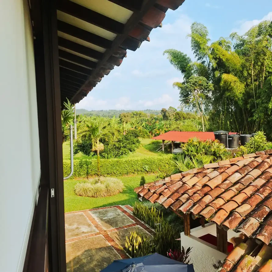 Vista panorámica desde una habitación de finca hotel en Alcalá Valle, mostrando jardín tropical y tejados.