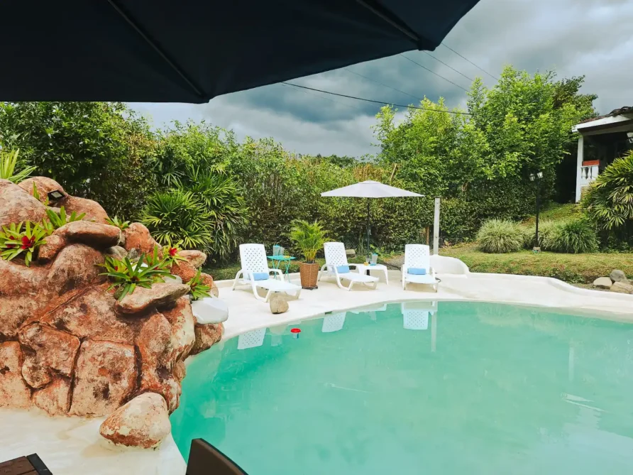 Área de piscina exterior en casa finca Alcalá Valle para alojamiento, con solárium y exuberante vegetación.