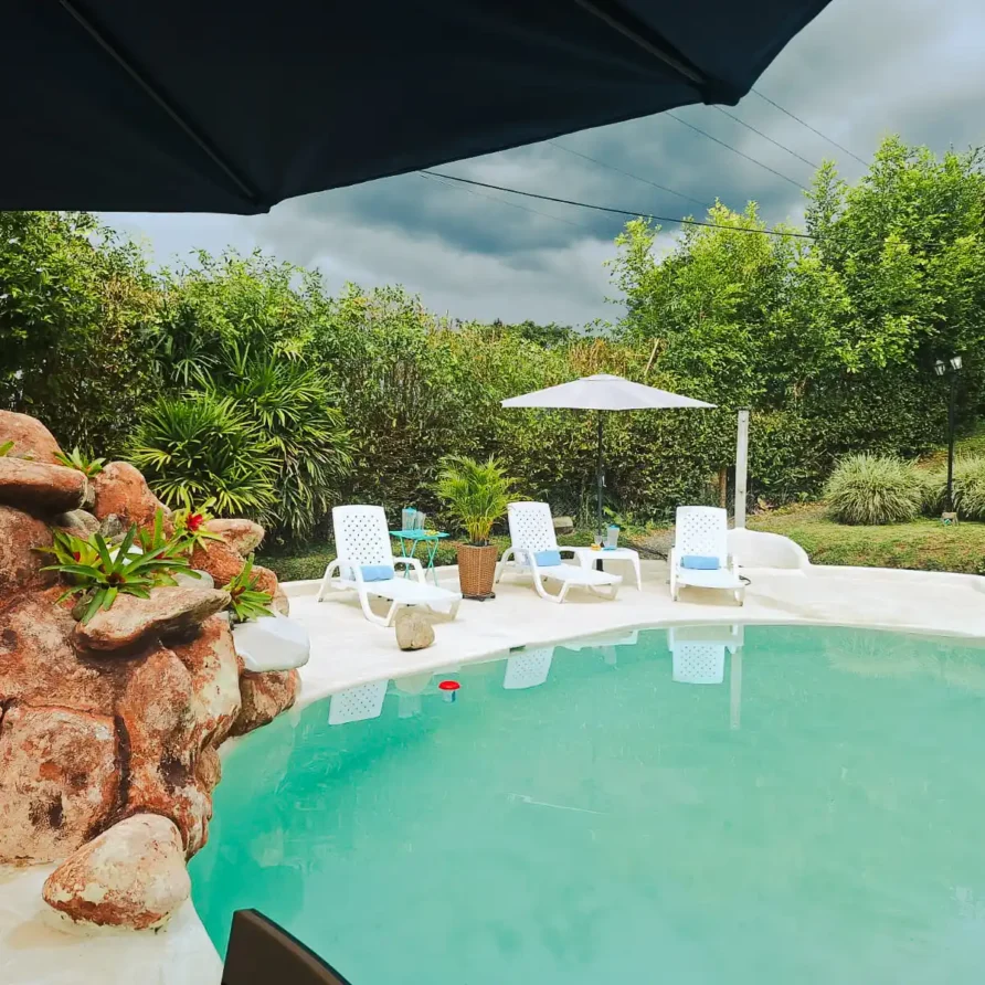 Área de piscina exterior en casa finca Alcalá Valle para alojamiento, con solárium y exuberante vegetación.
