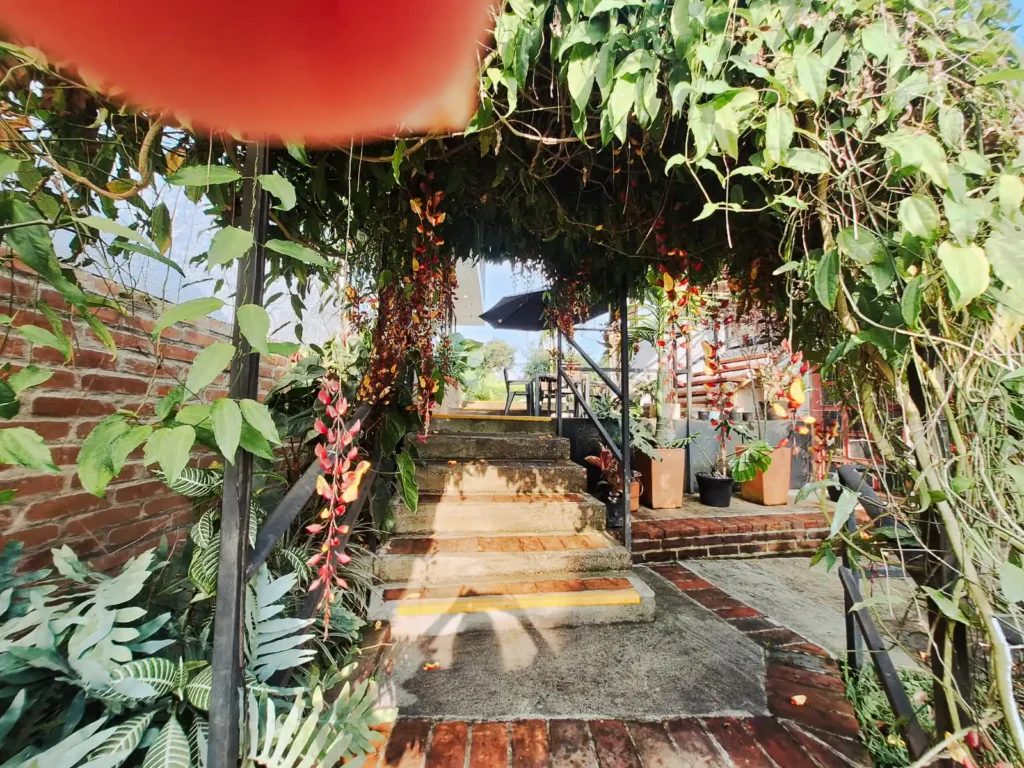 Zona común exterior con arcos de enredaderas florales y escalinata en casa finca de hospedaje en Alcalá, Valle.
