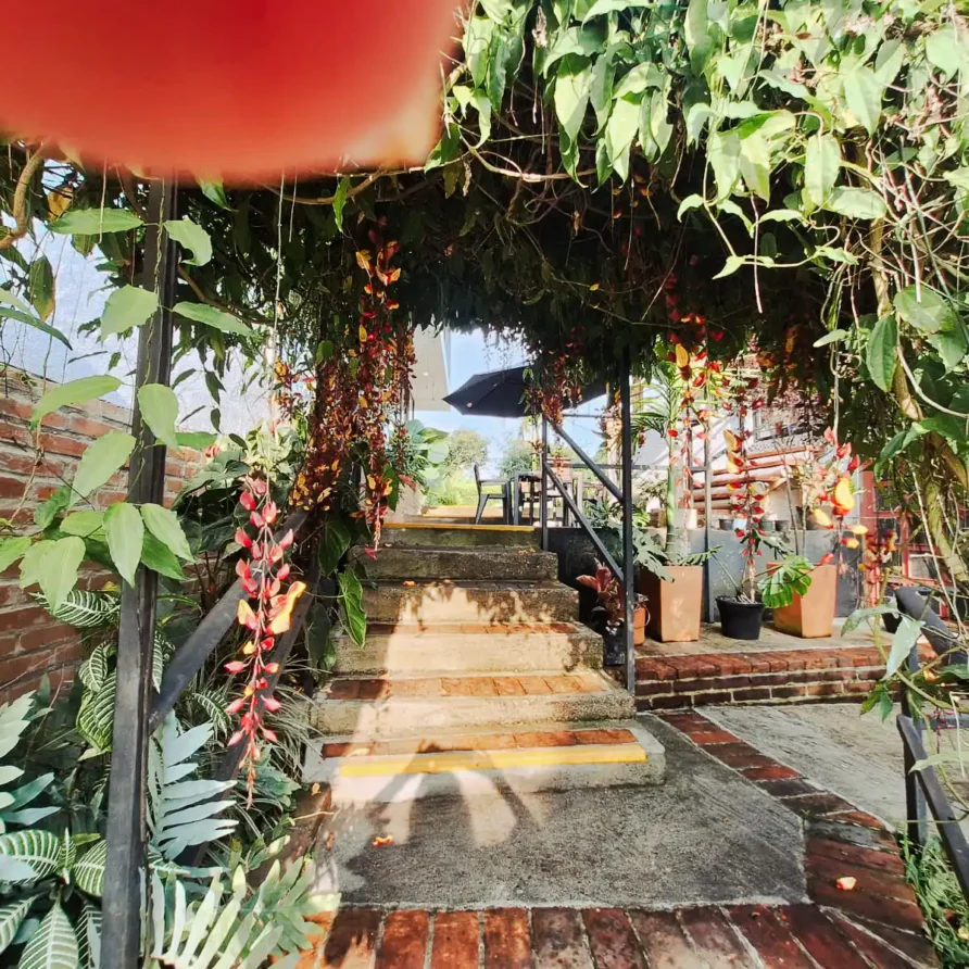 Zona común exterior con arcos de enredaderas florales y escalinata en casa finca de hospedaje en Alcalá, Valle.