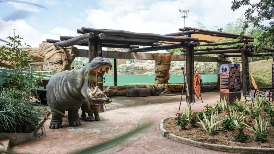 Guía para el Bioparque Ukumarí | Finca Santa María